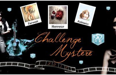 Challenge Mystère 2017 du blog de Frogzine