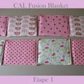 CAL Fusion blanket... Etape 1...