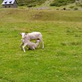 Restons connectés avec la nature