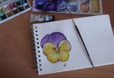 Pensées à l'Aquarelle 1ère partie et comment dessiner une pensée - Pansies in Watercolor and howto drawing a pansy
