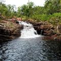 15 novembre 2013 : Kakadu National Park - Mounts termits / Rockspool / Florence Falls (suite)