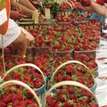 Fête de la fraise à Velleron