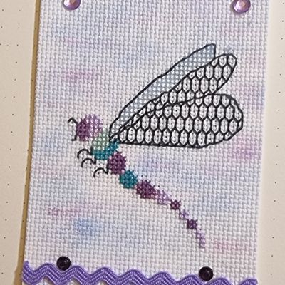 Echange libellule chez Fred