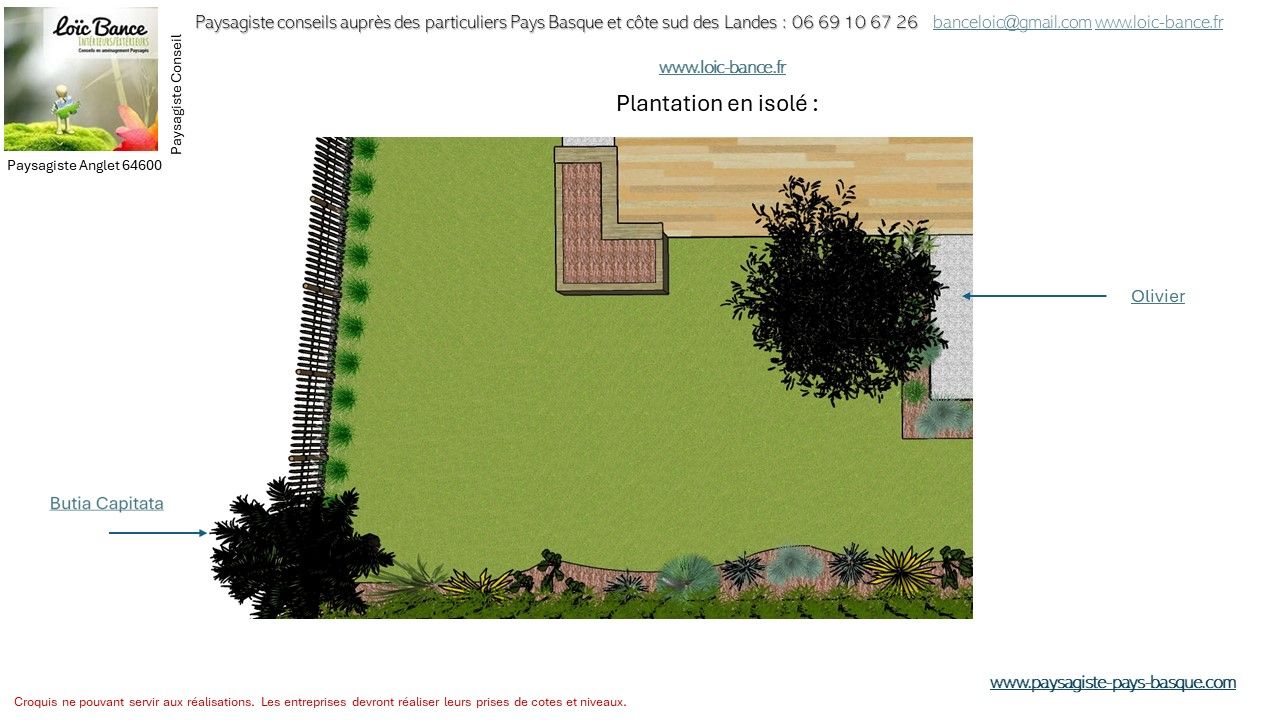 Paysagiste Anglet, Paysagiste conseils aux particuliers, plantation en isolé.