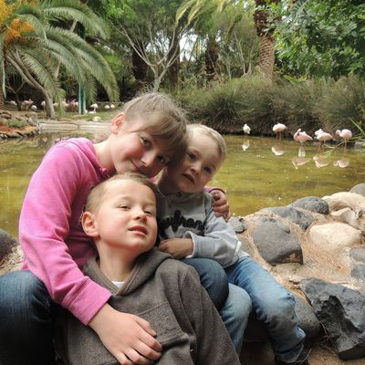 Fuerteventura, Canaries