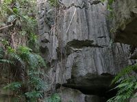 Voyage en Sulawesi - Visite du site de Ramang ramang puis direction Rantepao la capitale du Pays Toraja
