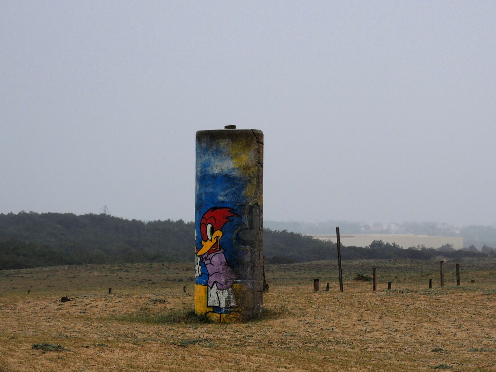 Tarnos, plage du métro, pilier graff, mars 2025. (40)