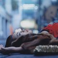 Christie's December Photographs Sale Offers Exceptional Array of Works
