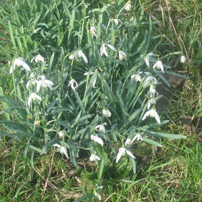 hum...ça sent bon le printemps !