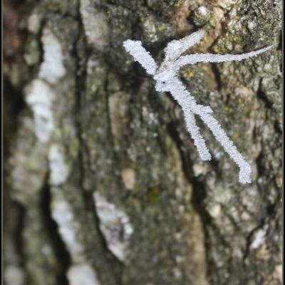 le bonhomme hiver est là !