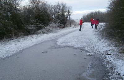 Entraînement