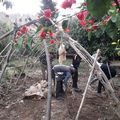 Activité jardinage ce mardi après-midi au temps d'accueil des enfants et des jeunes à l'association Ourika Tadamoune à Tnine