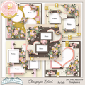 Template Champagne Blush2 de ML Design