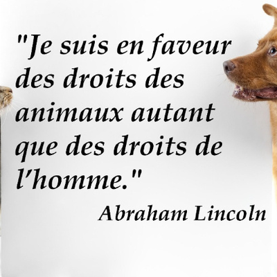 Citation