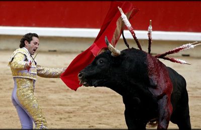 A VOIR // LA CORRIDA :...