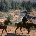 La Colline des Potences (The hanging Tree) (1959) de Delmer Daves