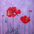 Jolis Coquelicots