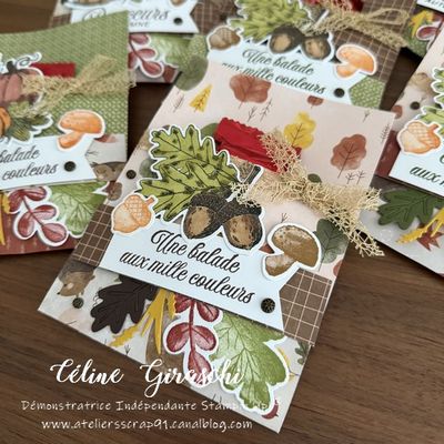 Pochettes cadeaux automnales