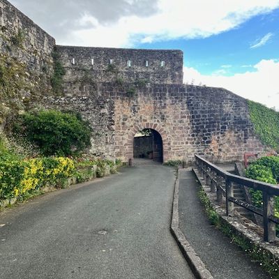 Jour 24 : Lacarre - St Jean Pied de Port 11km = 463km