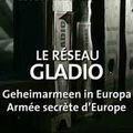 Réseaux pédophiles d'élite (partie III): En Belgique, Gladio tirait les ficelles du réseau