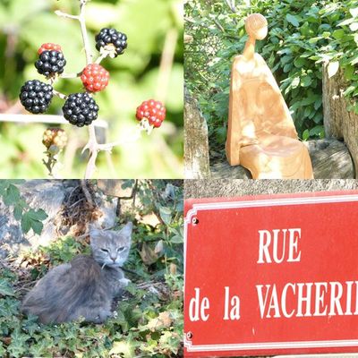 1 semaine quelques photos...