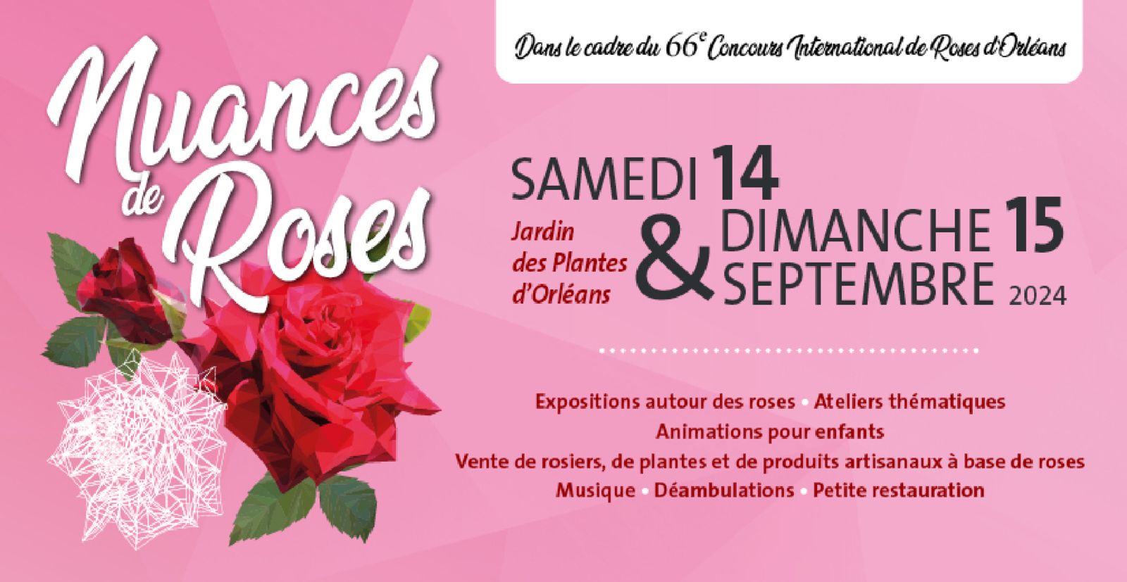 Nuances de roses 2024