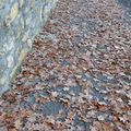 Ce long chemin feuillu, bordé d’un mur si haut