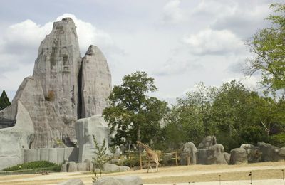 Balade dans Paris - Zoo de Vincennes, Bercy Village et le 13e