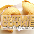 Les fortune cookies
