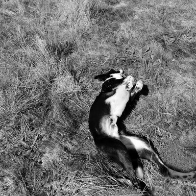 #15.1 Aspirations élevées, en liberté | Françoise Duret