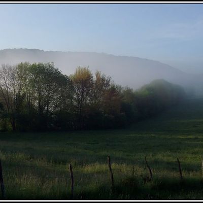 Réveil de la campagne jurassienne 