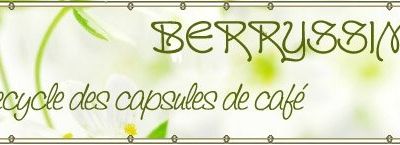 NOUVEAU ! Ouverture de ma boutique Berryssime.fait-maison