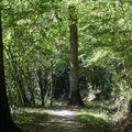Le Sentier de Découverte de la forêt de sivens(tarn): 2.5km