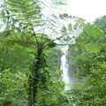 les chutes du Carbet