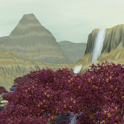 33 - Naissance d'Emerik Jensen ou la mascotte ! Déménagement de Riley !