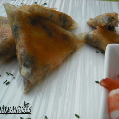 SAMOUSSA entre Terre et Mer