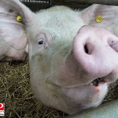 Vous souhaitez proposer un lien vers une recette