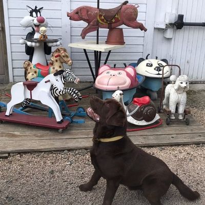 Mon bestiaire fantastique...