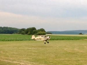 Le Bucker Jungmeister, le cheval de bataille de l’acrobatie
