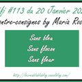 Défi 113