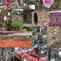 petite promenade au parc cet après-midi .....