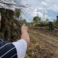 REVUE DE PRESSE NORMANDE au 13 mai 2022: massacre à la tronçonneuse dans le bocage virois!