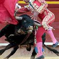 Corrida. Au menu de Salvador Barberán ce soir : émincé d'adducteur sur son lit de fibres musculaires et méli-mélo de veines.