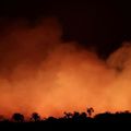 Incendies en Amazonie