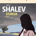 A lire pour cet été 2024- Stupeur de Zeruya Shalev