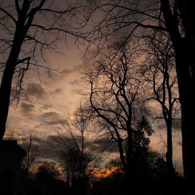 la photo du mois....janvier 2015...