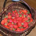 des fraises du jardin