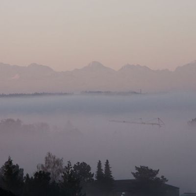 Brumes matinales / Morgennebel 05.04.2011