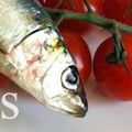 Blog appétit 09 : Tomates farcies à la sardine