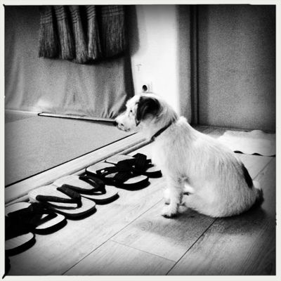 Présence, Makoto dojo, octobre 2018